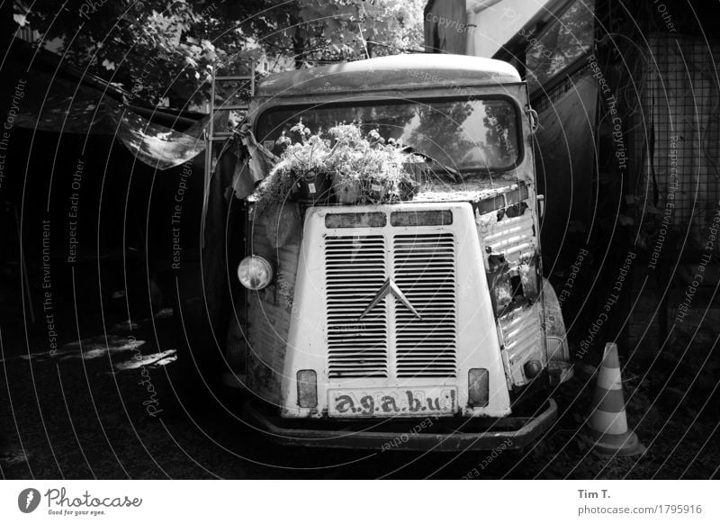 Backyard Pankow Berlin Capital city Downtown Old town Senior citizen Time Car Bus Black & white photo Exterior shot Deserted Day