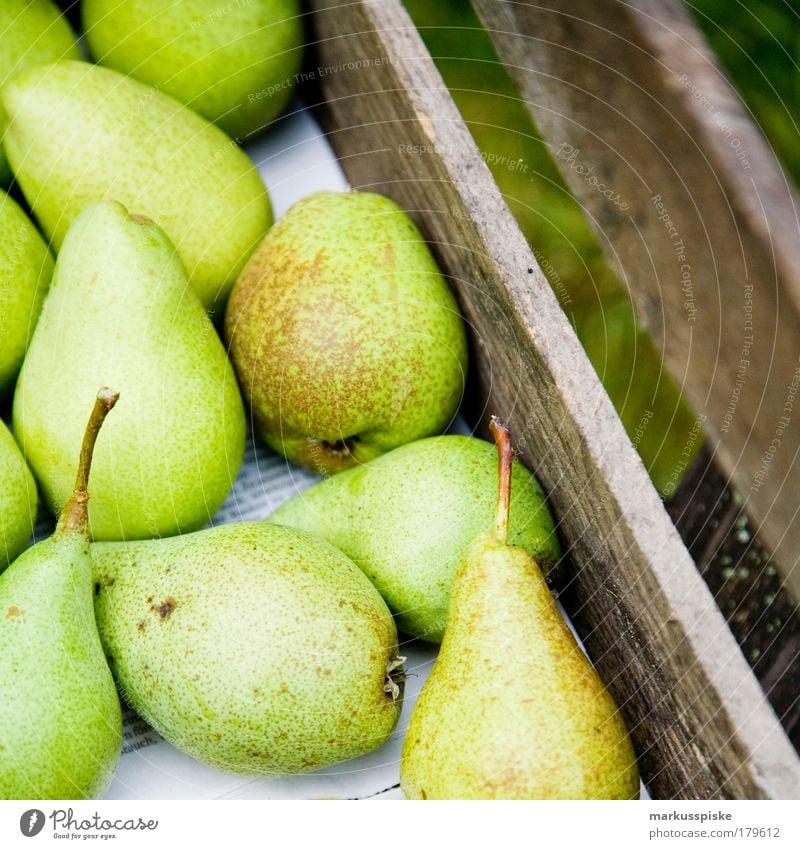 fresh pears... Deserted Food Fruit Pear Pear tree Pear tree leaf Pear stalk Nutrition Organic produce Vegetarian diet Fasting Healthy Healthy Eating