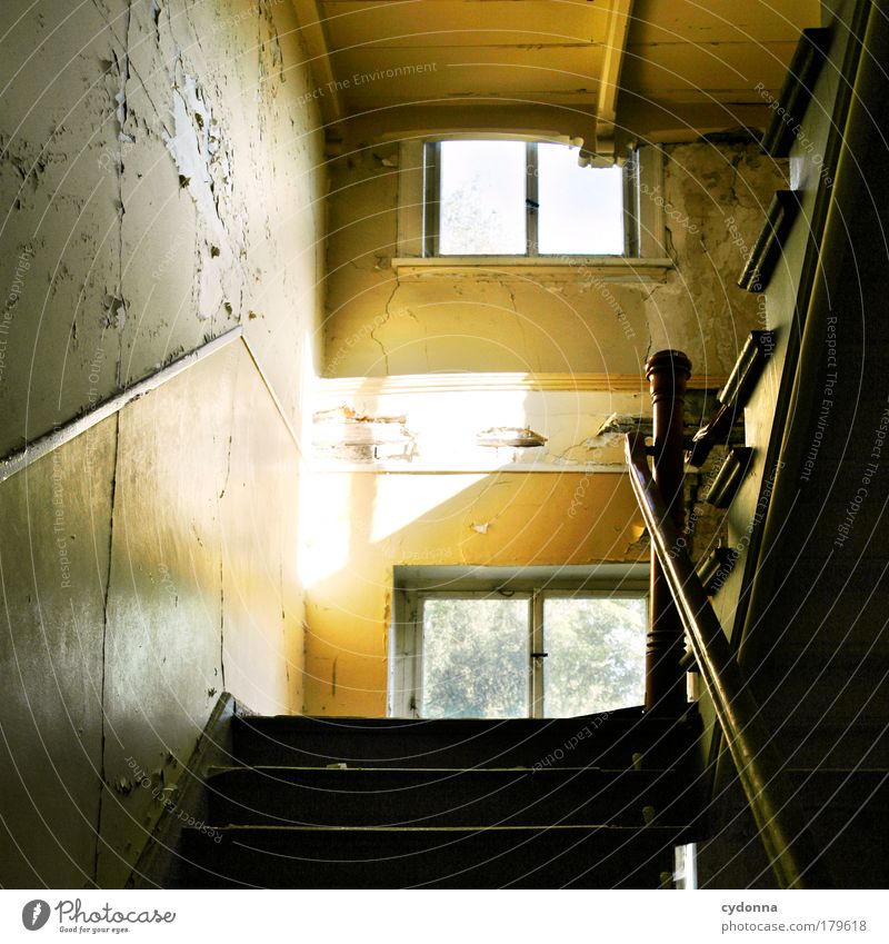 staircase Colour photo Interior shot Detail Deserted Copy Space left Day Light Shadow Contrast Sunlight Central perspective Long shot Living or residing