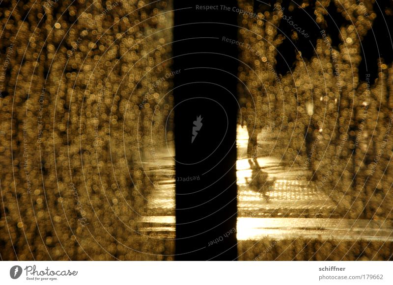 shower of gold Evening Twilight Shadow Silhouette Sunlight Sunbeam Back-light Going Surrealism Rain Drops of water Gold Pedestrian Street Adhesive plaster