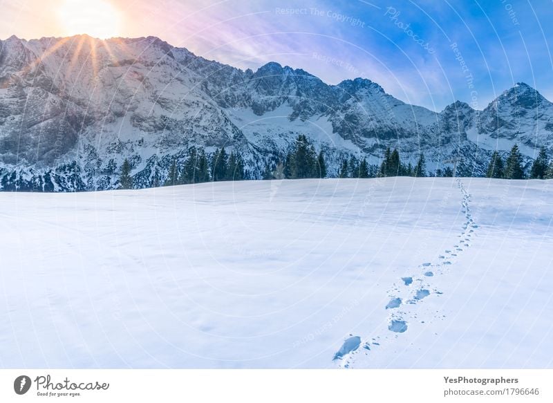 Mountain peaks in winter Joy Calm Freedom Sun Winter Snow Winter vacation Landscape Sky Weather Alps Peak Footprint Freeze Fresh Cold Blue White Purity Austria