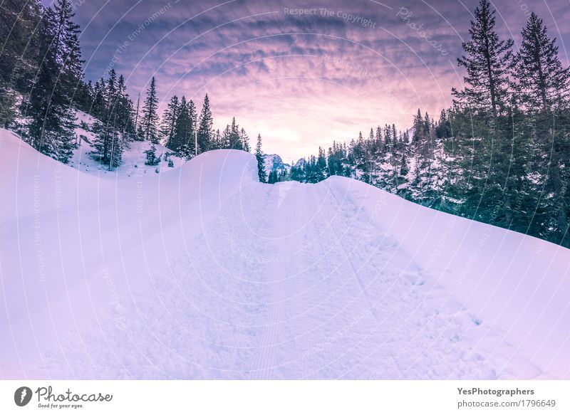 Mountain road through piles of snow Vacation & Travel Trip Winter Snow Landscape Sky Weather Ice Frost Tree Forest Alps Snowcapped peak Street Animal tracks