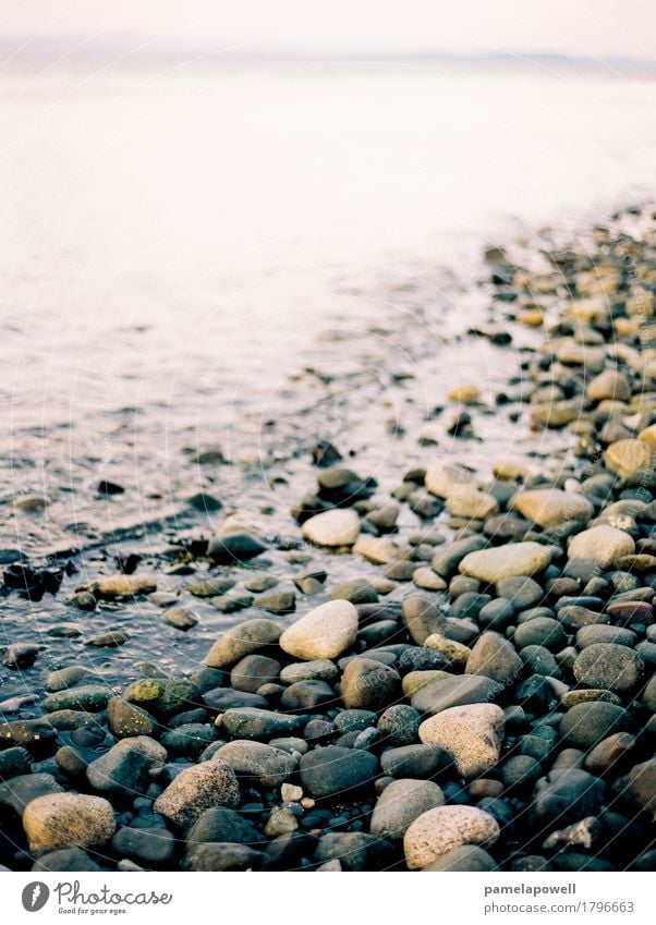 Rocky Beach at Dusk Lifestyle Vacation & Travel Tourism Freedom Summer Summer vacation Ocean Island Waves Environment Nature Landscape Coast Brown Gray Violet