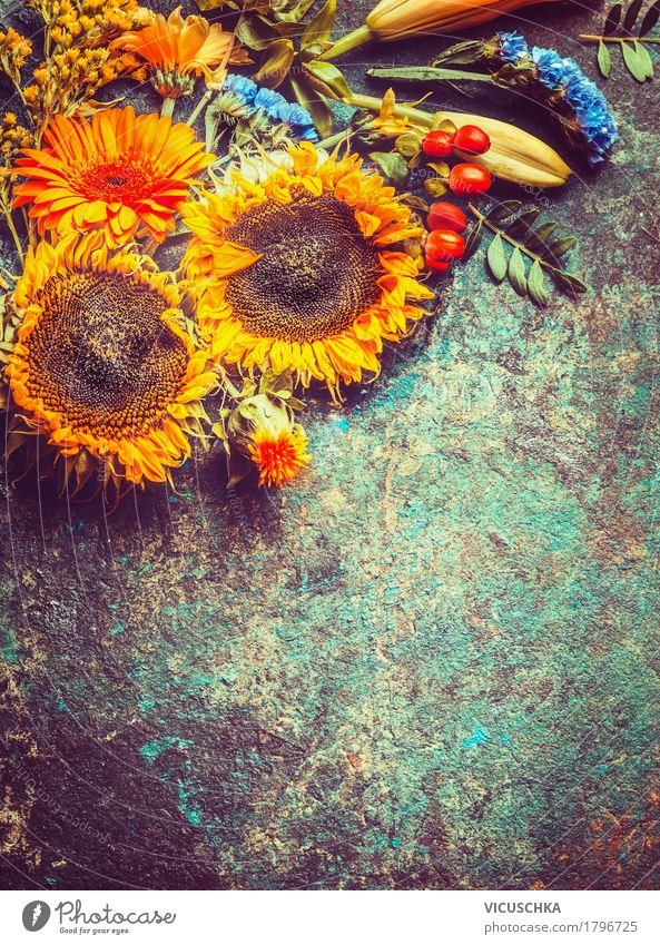 Autumn sunflowers Style Design Summer Decoration Nature Plant Flower Leaf Blossom Yellow Background picture Composing Vintage Bouquet Sunflower Card