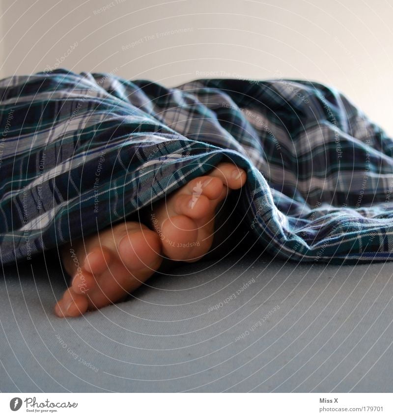 tired Colour photo Multicoloured Interior shot Close-up Detail Copy Space top Copy Space bottom Neutral Background Morning Day Shallow depth of field Relaxation