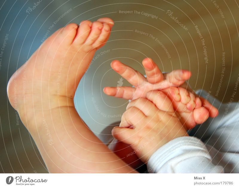 *** 400 *** Colour photo Interior shot Close-up Detail Copy Space right Copy Space top Neutral Background Morning Sunlight Joy Happy Playing Human being Child