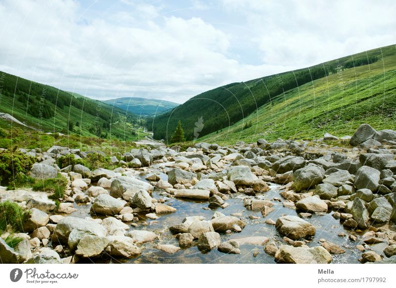 Family Geröllheimer Environment Nature Landscape Rock Canyon Brook River Gravel Scree Stone Ireland Natural Perspective Hill Downward Mountain stream Valley