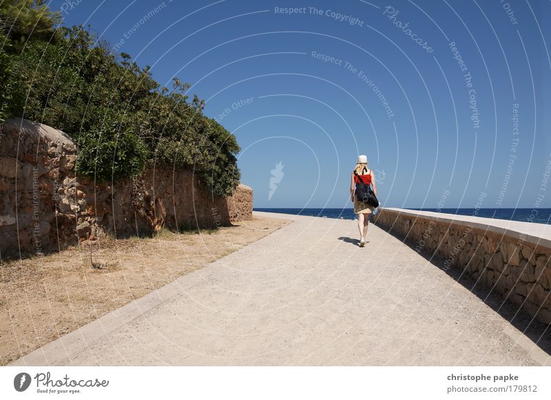 Sea path Colour photo Exterior shot Copy Space top Copy Space bottom Day Light Sunlight Sunbeam Central perspective Long shot Wide angle Rear view