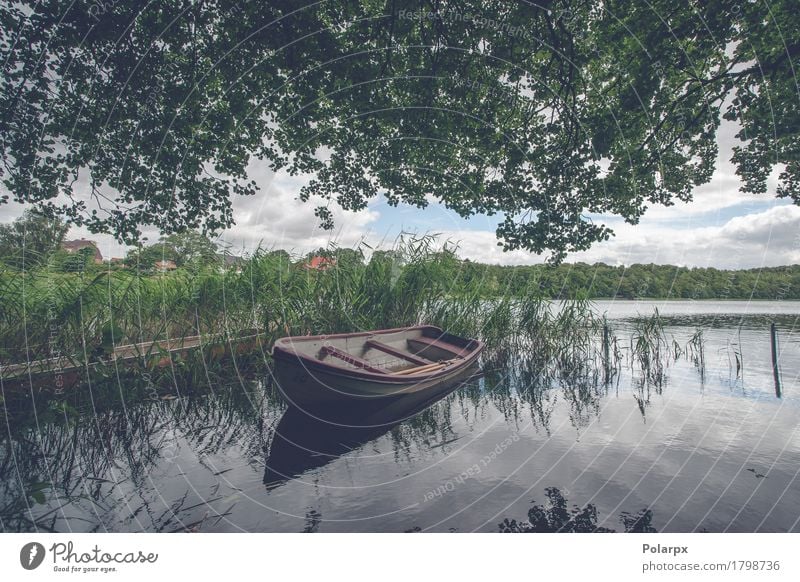 Small boat among green reed Beautiful Relaxation Calm Leisure and hobbies Vacation & Travel Nature Landscape Coast Pond Lake River Transport Sailboat Watercraft