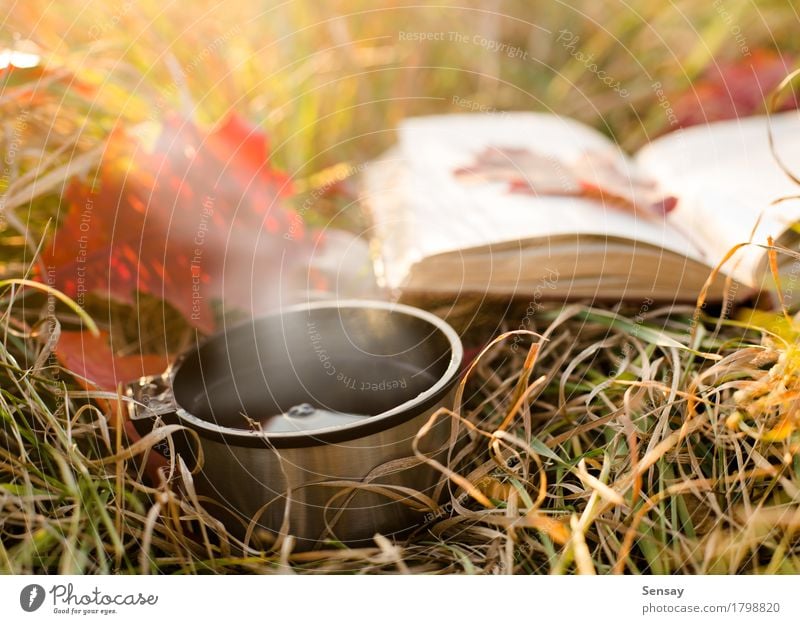 Vacuum flask and book on autumn background Coffee Tea Bottle Joy Reading Vacation & Travel Winter Book Autumn Warmth Grass Leaf Park Metal Steel Hot Red White