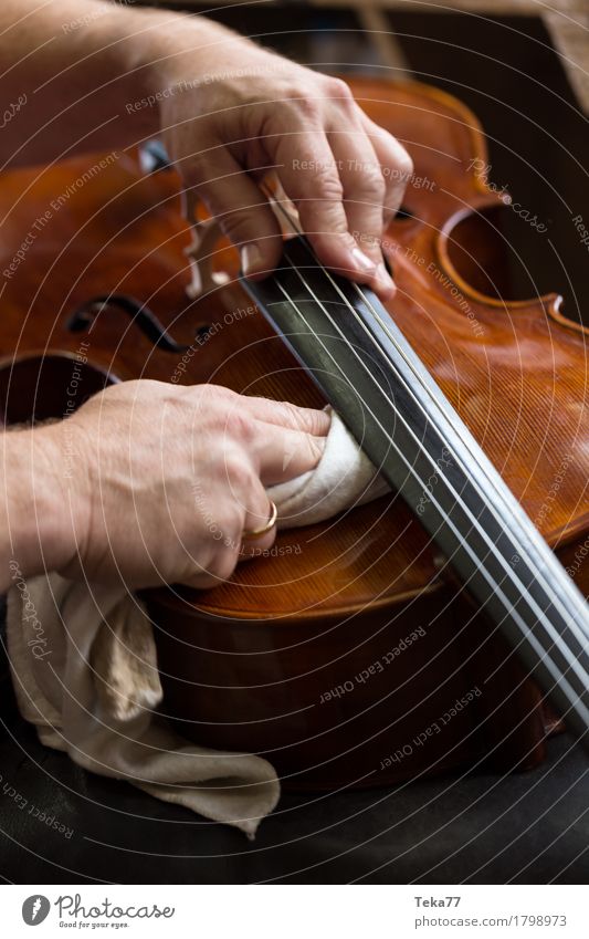 Violin making IIIIIII Style Music Profession Craftsperson violin maker Workplace Human being Hand Esthetic Musical instrument violin making Close-up Detail