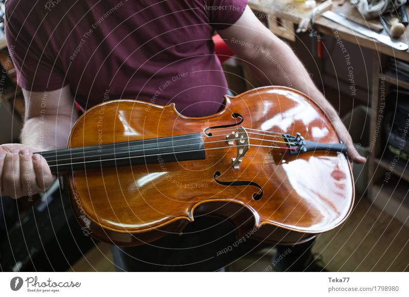 Violin making IIIIII Style Music Education Work and employment Profession Craftsperson Human being Hand Art Artist Esthetic violin making violin maker