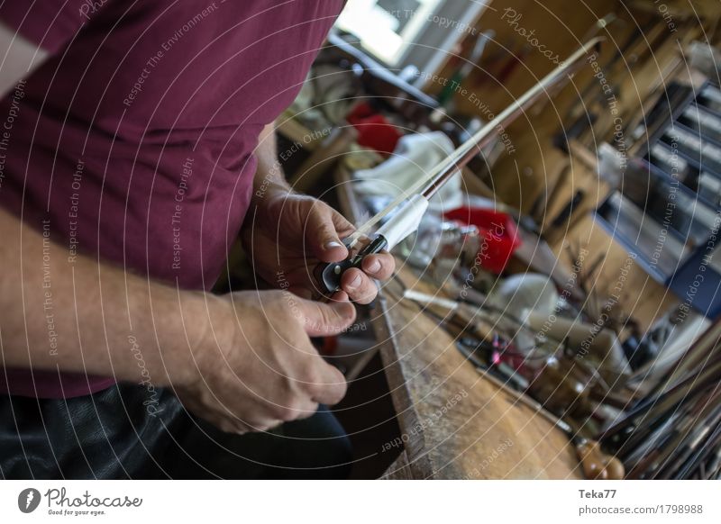 Violin making IIIIIII Style Music Profession Craftsperson violin maker Workplace Human being Hand Esthetic Musical instrument Colour photo Close-up Detail