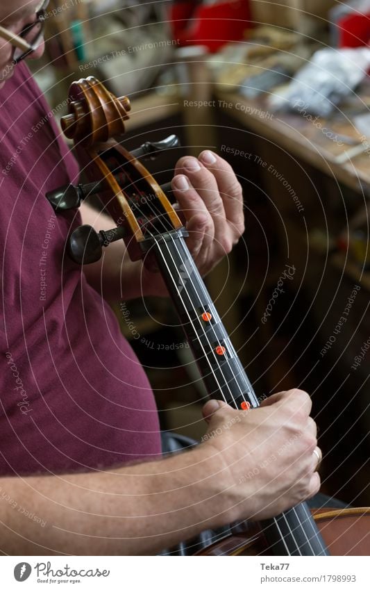 Violin making II Style Music Work and employment Profession Craftsperson Human being Hand Art Artist Esthetic violin making violin maker Studio shot Close-up