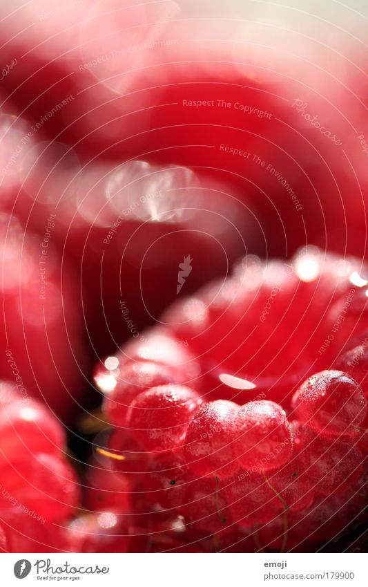 HAM! and gone. Colour photo Exterior shot Close-up Detail Macro (Extreme close-up) Copy Space top Shallow depth of field Fruit Nutrition Organic produce