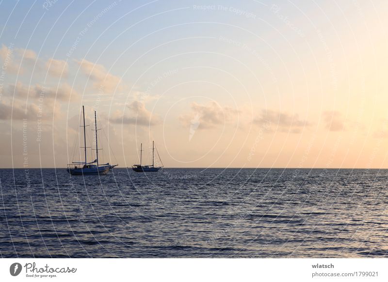 Boats in sun flush Water Clouds Sunrise Sunset Summer Beautiful weather Coast Bay Ocean Island Navigation Boating trip Sailboat Wood Swimming & Bathing Discover