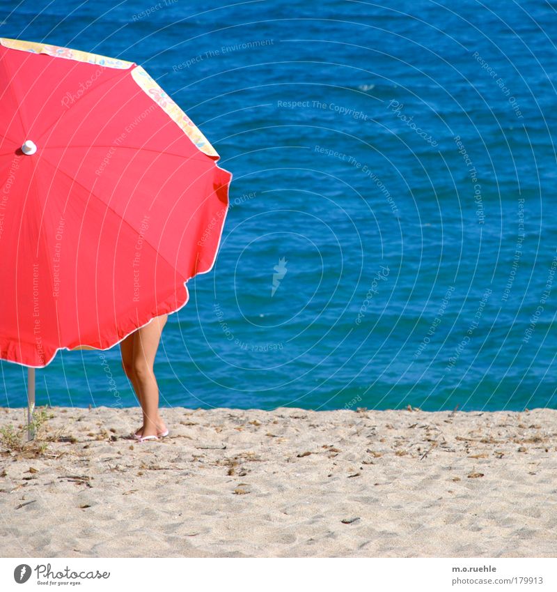 screened Colour photo Exterior shot Detail Copy Space left Copy Space right Copy Space top Neutral Background Day Sunlight Long shot Feminine Legs 1 Human being