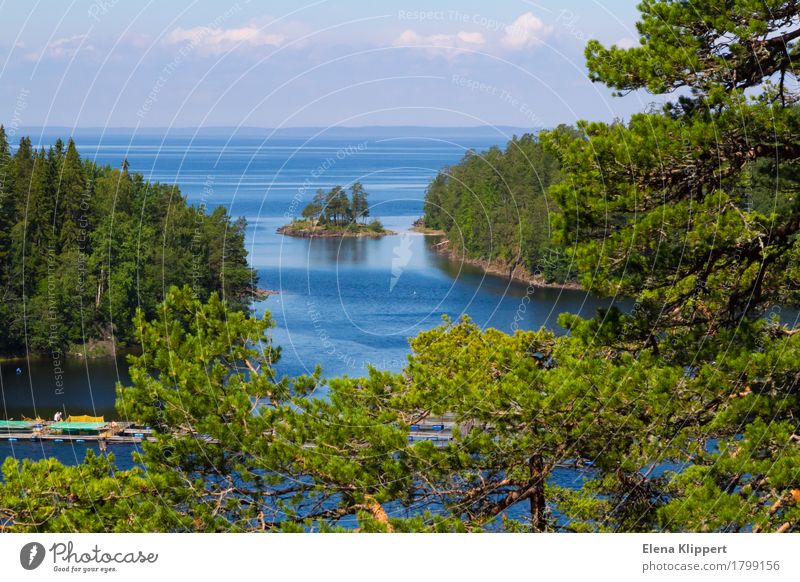 Ladoga Lake. Nature Landscape Plant Water Sky Clouds Horizon Summer Weather Beautiful weather Tree Jawbone Forest Lake Ladoga Serene Calm Relaxation