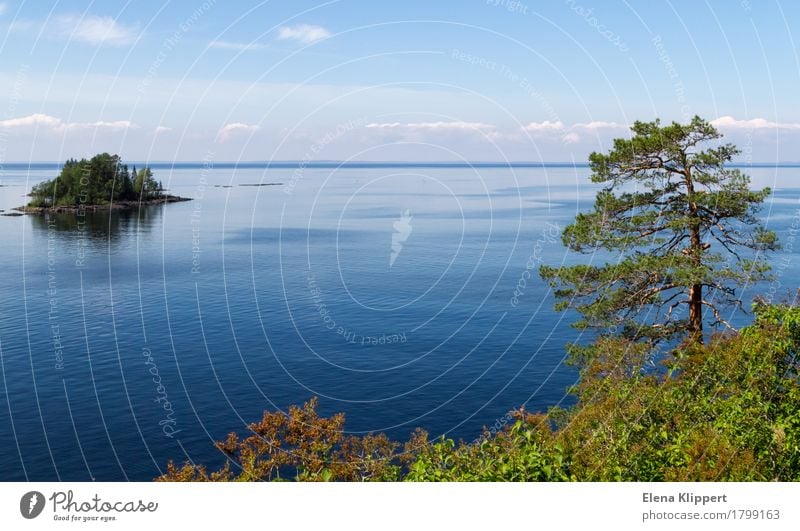 Ladoga Lake. Environment Nature Landscape Plant Water Sky Clouds Horizon Summer Weather Beautiful weather Tree Jawbone Island Lake Ladoga "Valaam Karelia"