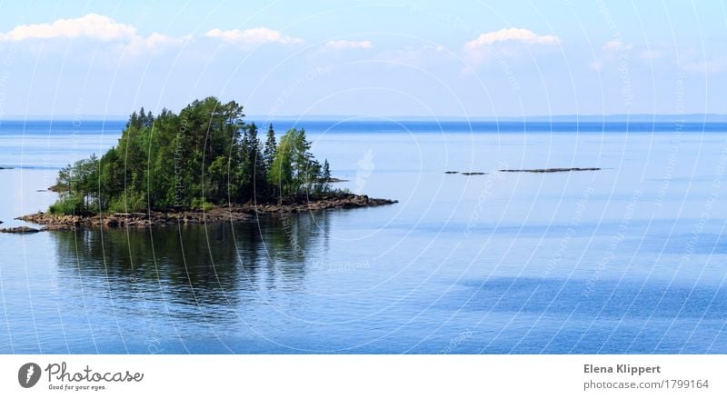 Ladoga Lake. Environment Nature Landscape Plant Water Sky Clouds Horizon Summer Weather Beautiful weather Tree Island Lake Ladoga "Valaam Karelia" Russia Asia