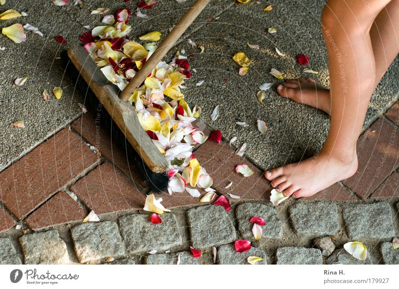 end of summer Colour photo Exterior shot Evening Light Bird's-eye view Feminine Girl Infancy Skin Legs Feet Cleaning Natural Multicoloured Yellow Gray Pink Red