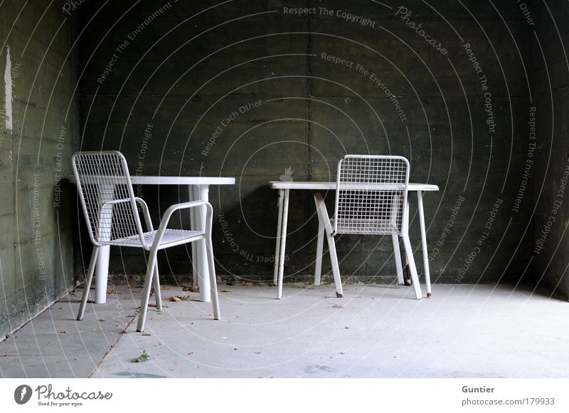 autumn feelings Colour photo Subdued colour Exterior shot Detail Deserted Copy Space right Copy Space top Copy Space bottom Day Light Shadow Contrast