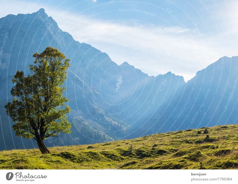 autumn Environment Nature Landscape Plant Air Sky Clouds Beautiful weather Tree Alps Mountain Peak Hiking Authentic Blue Green Honest Tourism