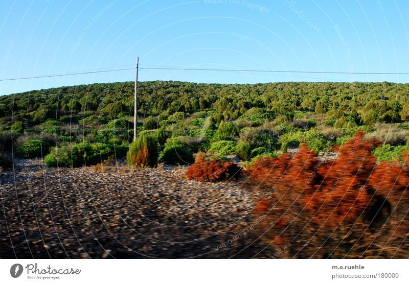 landscaped Colour photo Exterior shot Deserted Copy Space top Long shot Environment Nature Landscape Plant Wild plant Ocean Mediterranean sea Island Sardinia