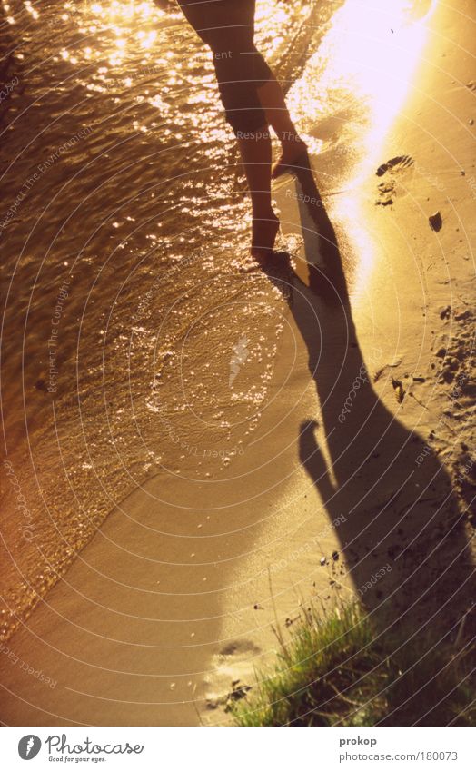 water ballet Colour photo Exterior shot Day Light Shadow Contrast Sunlight Central perspective Joy Contentment Senses Relaxation Calm Cure Spa Human being