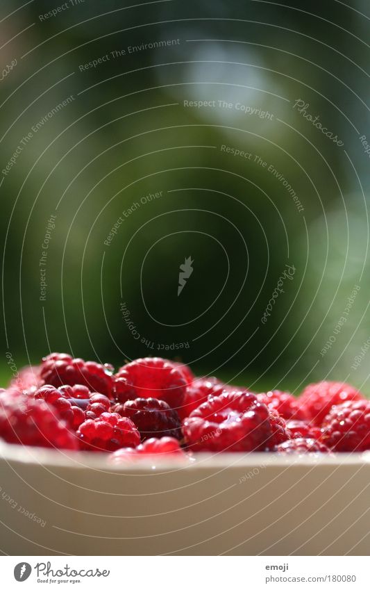 Take it easy! Colour photo Multicoloured Exterior shot Close-up Detail Macro (Extreme close-up) Copy Space top Copy Space bottom Shallow depth of field Fruit