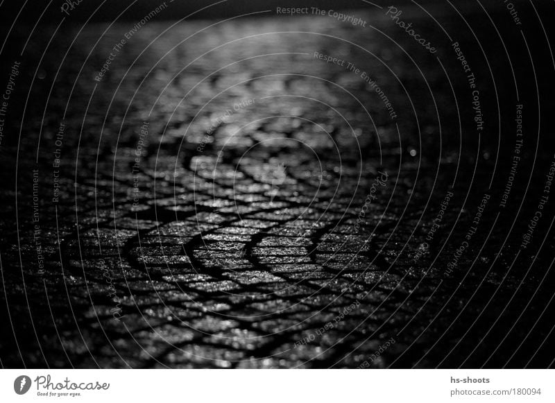 Paving stones in Freiburg Black & white photo Evening Night Long exposure Rain Freiburg im Breisgau Germany Old town Pedestrian precinct Deserted