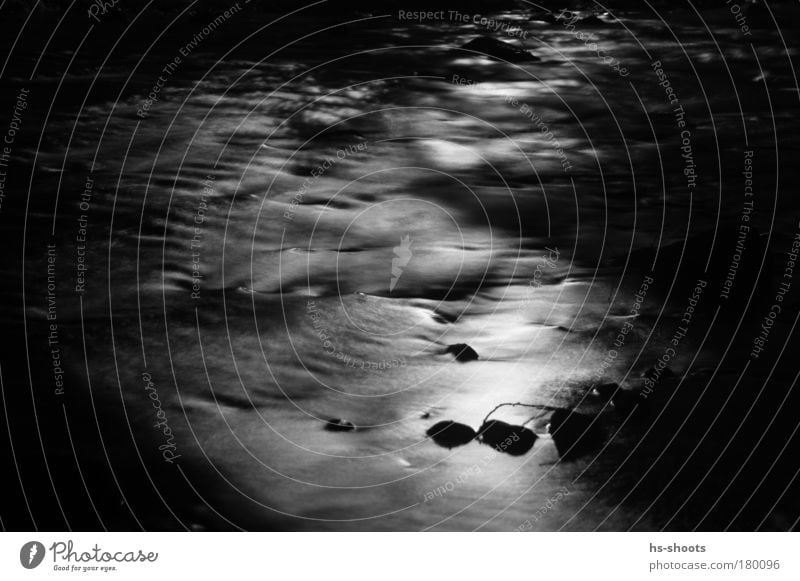 Freiburg The river at night Black & white photo Evening Night Downward Water River bank Dreisam Freiburg im Breisgau Germany Stone White Loneliness