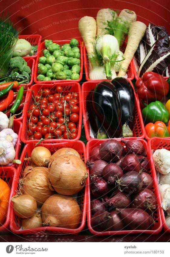 All fresh Colour photo Multicoloured Exterior shot Interior shot Close-up Detail Deserted Day Artificial light Light Reflection Wide angle Food Vegetable