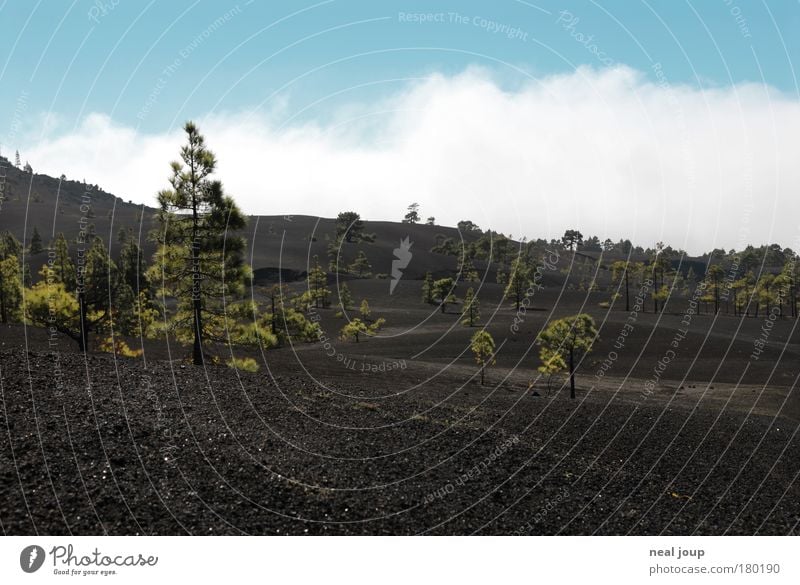 Moon landscape - 1 Subdued colour Exterior shot Deserted Vacation & Travel Far-off places Landscape Elements Earth Air Clouds Mountain Volcano Lava field