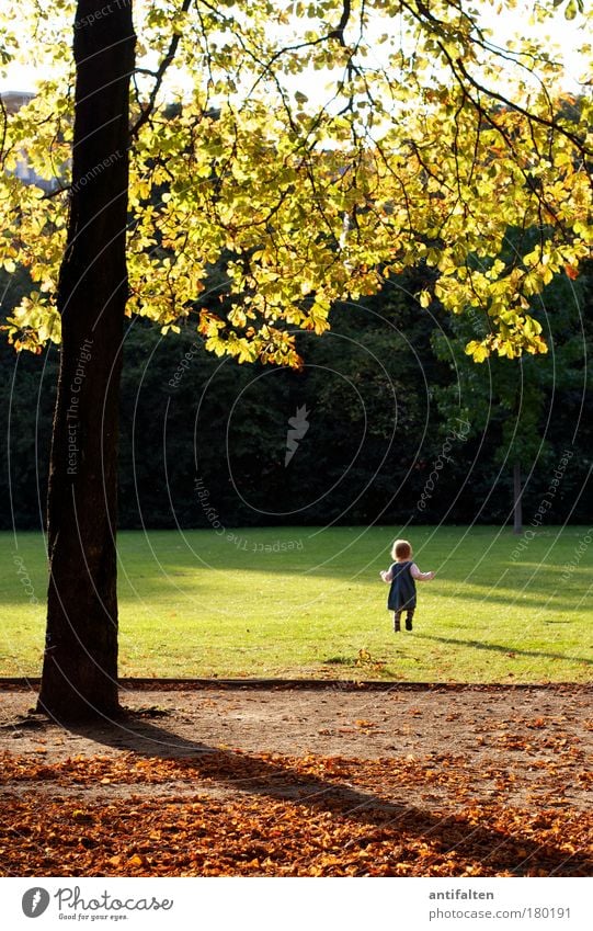 Timeless Playing Trip Child Toddler Girl Infancy 1 Human being 1 - 3 years Nature Sky Sunrise Sunset Autumn Tree Grass Bushes Leaf Park Meadow Duesseldorf