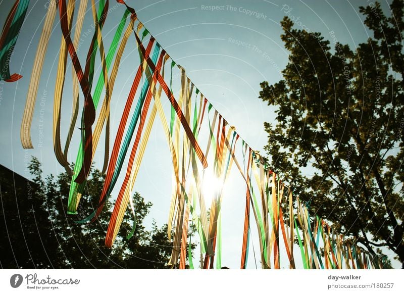 fluttering imprisonment Colour photo Multicoloured Exterior shot Morning Shadow Contrast Silhouette Light (Natural Phenomenon) Sunlight Sunbeam Back-light Sky