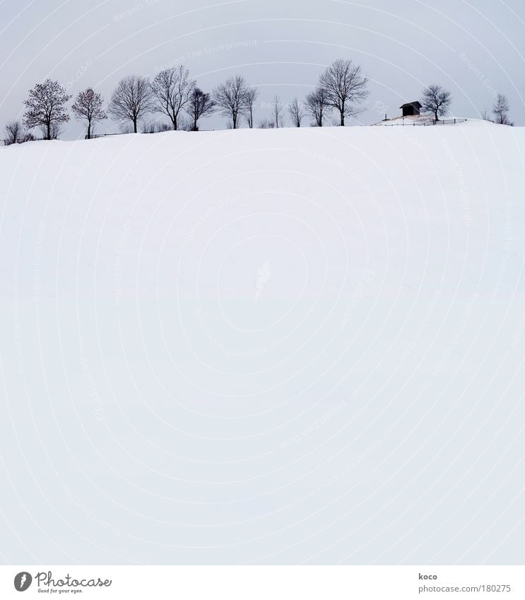 winter Subdued colour Exterior shot Deserted Copy Space bottom Day Long shot Nature Landscape Winter Snow Tree Hill Mountain Hut Esthetic Blue Gray Black White