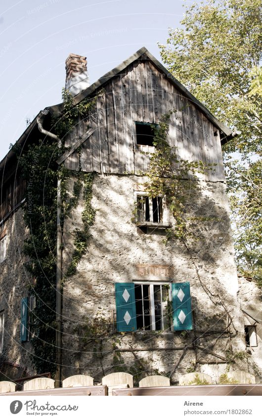 I'm on a bargain with Helgi. Idyll House (Residential Structure) Facade Window Hut Ruin Manmade structures Old building Historic Industrial wasteland Uniqueness