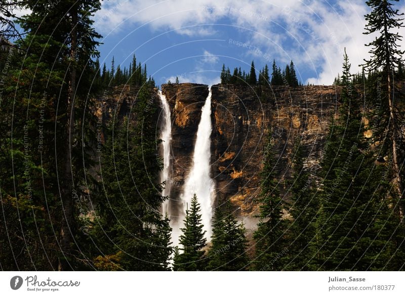 Twin Falls Colour photo Exterior shot Day Environment Nature Landscape Plant Elements Earth Water To enjoy Canada Waterfall Mountain Fir tree Blue