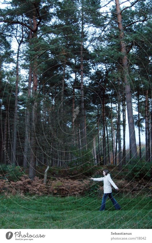 Knuffelchen alone in the forest #1 Forest Tree Coniferous trees Woman Autumn Nature Landscape Walking