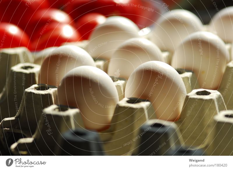 iStock 1 Colour photo Interior shot Contrast Back-light Shallow depth of field Central perspective Food Dough Baked goods Nutrition Organic produce To enjoy