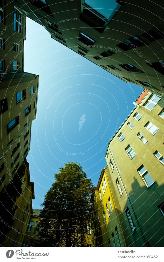 Foreign backyard Courtyard Backyard Tree Sky Vertical Copy Space