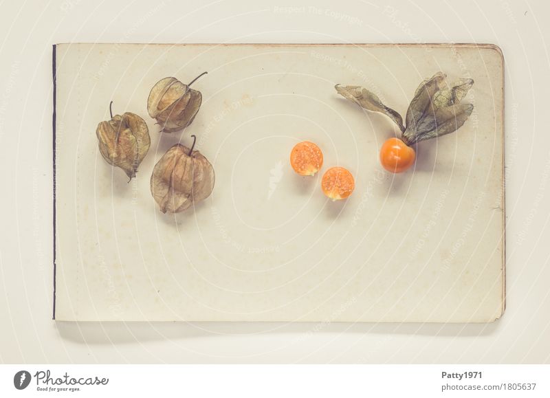 Physalis alkekengi Food Fruit Chinese lantern flower Paper Piece of paper Exotic Fresh Healthy Retro Round Sour Sweet Brown Orange To enjoy Still Life