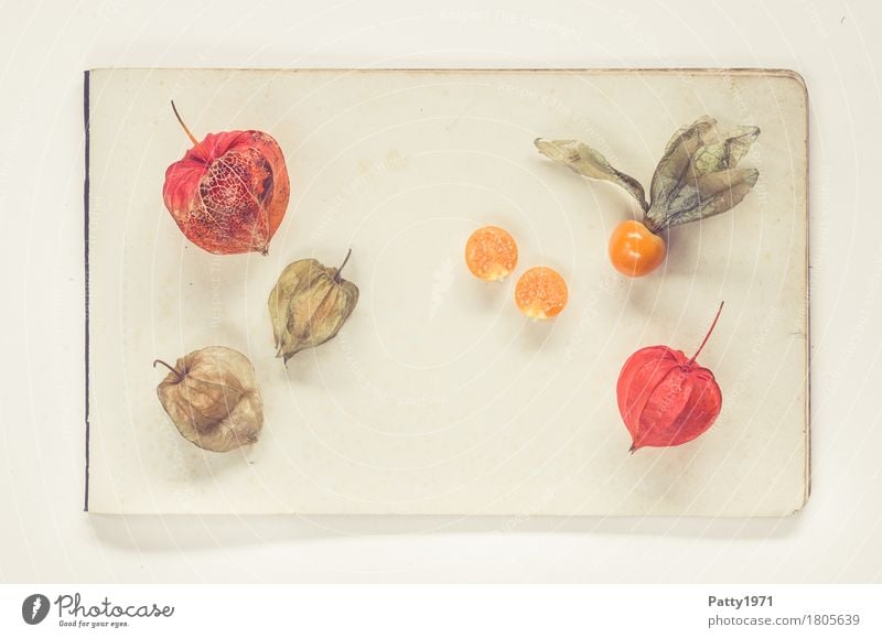 Physalis alkekengi Food Fruit Chinese lantern flower Still Life Nutrition Vegetarian diet Paper Piece of paper Fresh Healthy Retro Round Sour Sweet Brown Orange