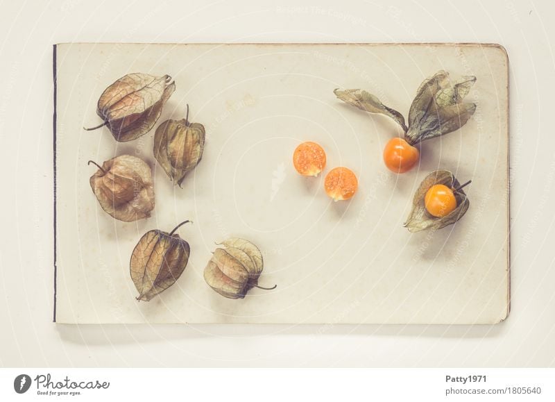 Physalis alkekengi Food Fruit Chinese lantern flower Nutrition Vegetarian diet Paper Piece of paper Exotic Fresh Healthy Retro Round Sour Sweet Brown Orange