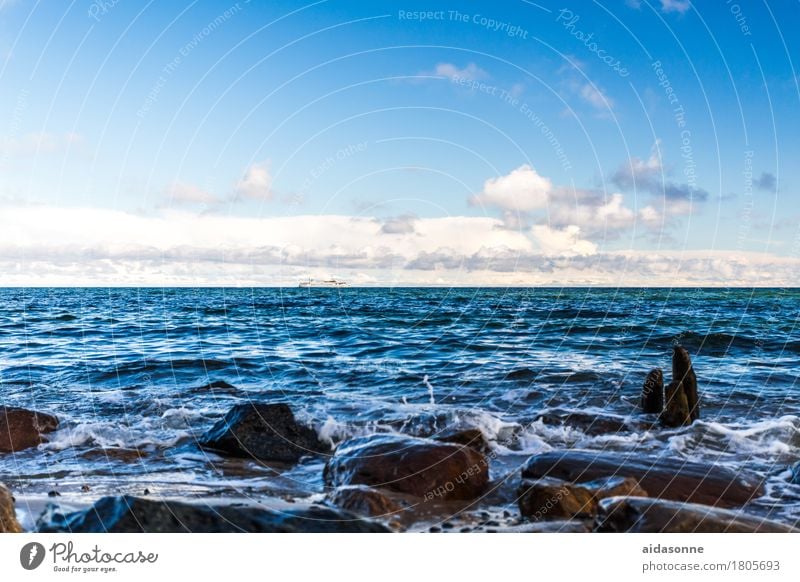 beach Nature Landscape Water Baltic Sea Attentive Watchfulness Caution Serene Patient Calm Colour photo Exterior shot Deserted Day