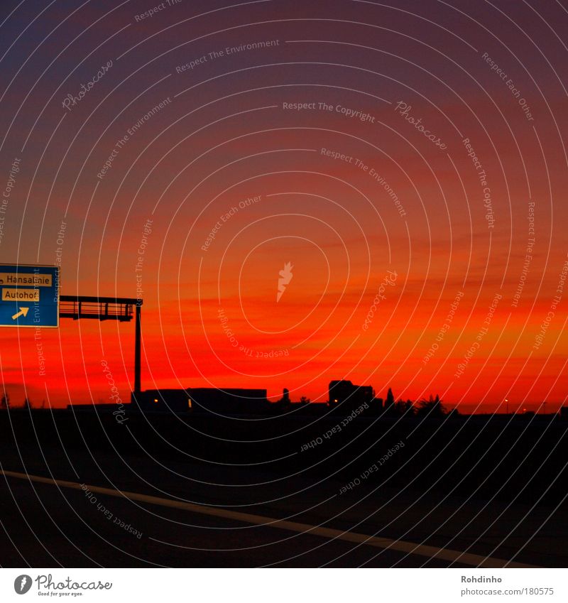 Cemetery of the Autotiere Colour photo Multicoloured Exterior shot Deserted Copy Space right Copy Space top Copy Space bottom Twilight Night Sunrise Sunset