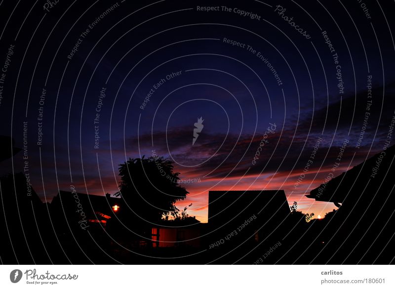 Sunsets have it hard ... Colour photo Exterior shot Deserted Copy Space top Twilight Night Silhouette Long exposure Deep depth of field Wide angle Sky Night sky