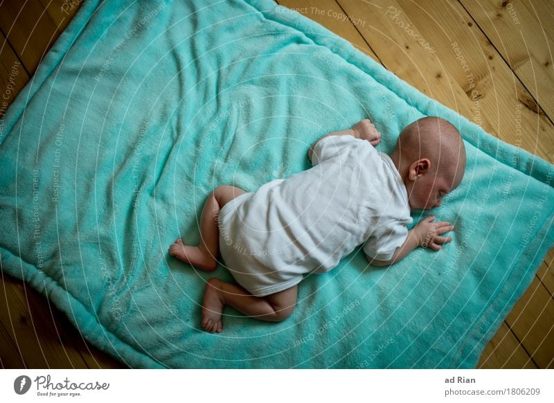 worm's-eye view Relaxation Human being Masculine Androgynous Baby 1 0 - 12 months Ground Blanket Breathe Lie Sleep Happiness Curiosity Crawl Colour photo