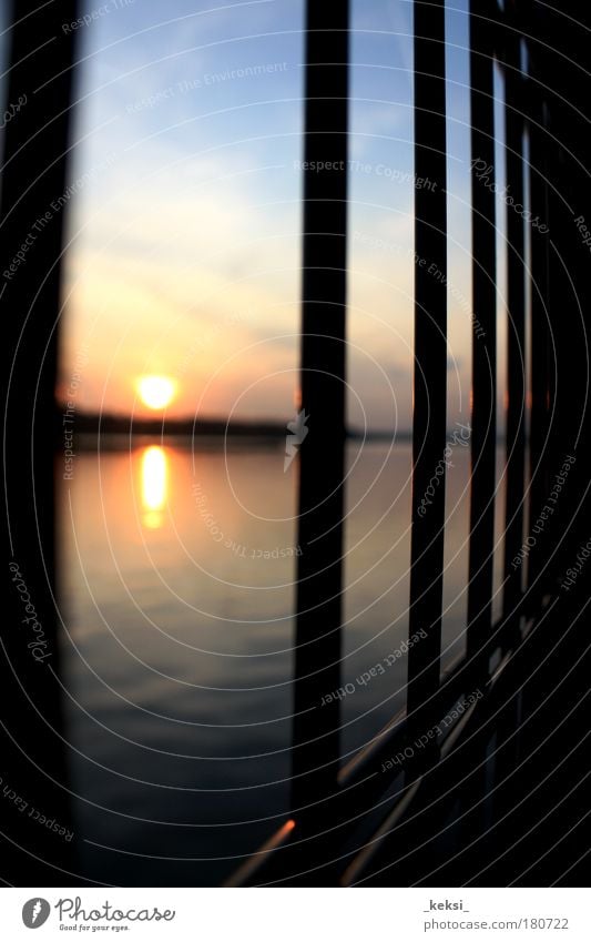 I'm the light behind the fence you built around you Colour photo Exterior shot Evening Twilight Contrast Reflection Light (Natural Phenomenon) Sunlight Sunrise